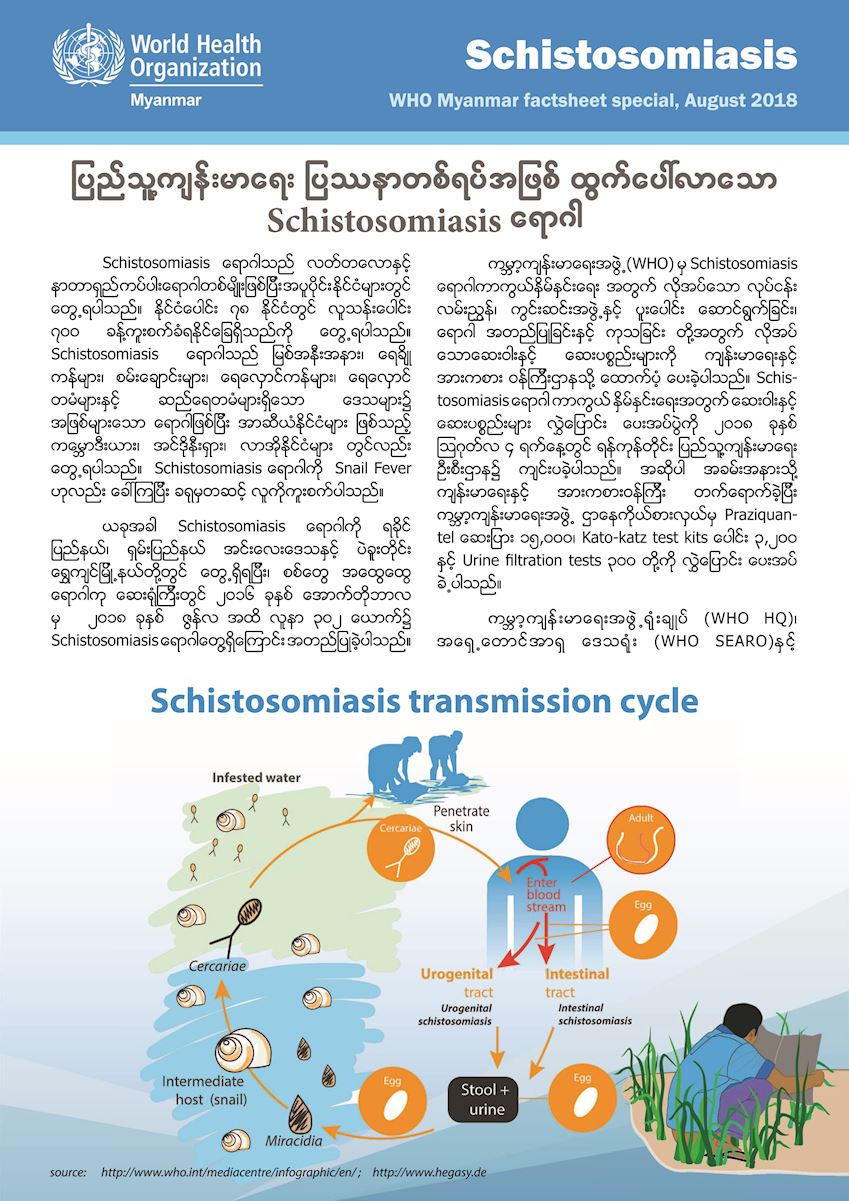 schistosomiasis myanmar
